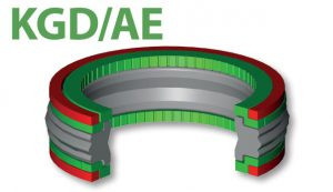 Double acting piston seal (KGD/AE)